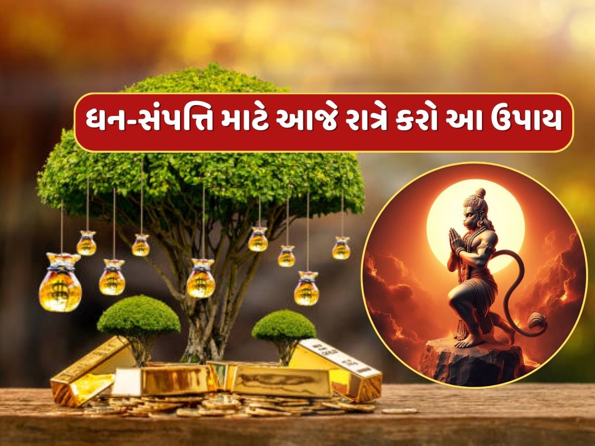 આજે રાત્રે અચૂક કરી લો આ ઉપાય, બજરંગબલીના આશીર્વાદથી વધશે ધન-સંપત્તિ આજે રાત્રે અચૂક કરી લો આ ઉપાય, બજરંગબલીના આશીર્વાદથી વધશે ધન-સંપત્તિ