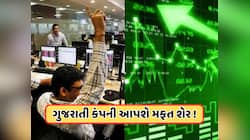 5 વર્ષના ઈંતઝારનો અંત! 180% રિટર્ન, રાજકોટની કંપની આપી રહી છે 1 શેર પર 1 મફત સ્ટોક