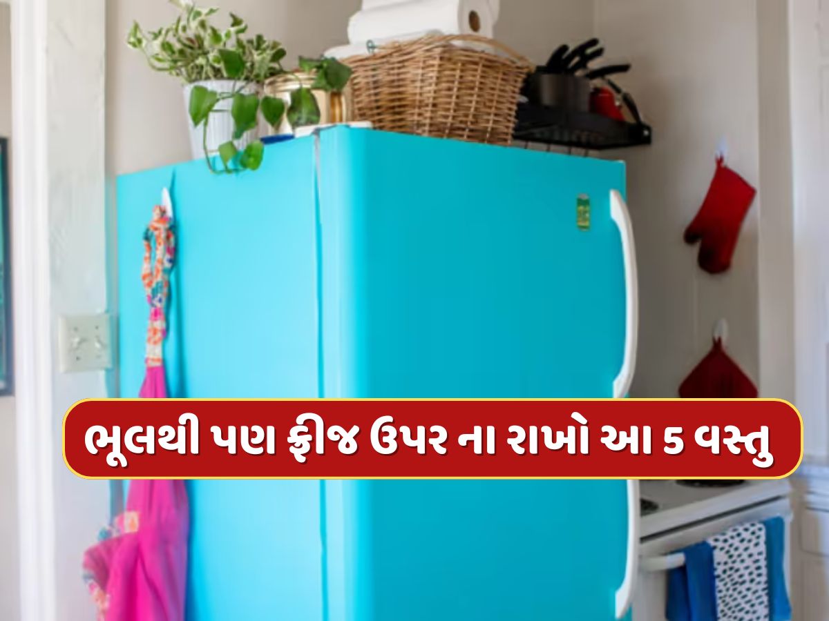 Vastu Tips : ફ્રીજ ઉપર આ 5 વસ્તુઓ રાખવાથી આવે છે ગરીબી, સમયસર જાણી લો નહીંતર થશે નુકશાન