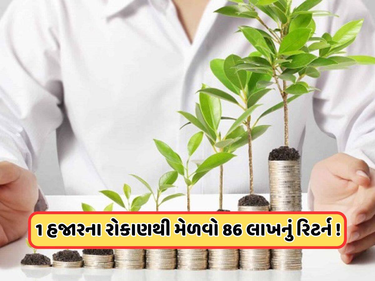 દર મહિને 1000નું રોકાણ કરીને મેળવો 8600000નું ફંડ, જાણો LICની નવી મ્યુચ્યુઅલ ફંડ સ્કીમ વિશે