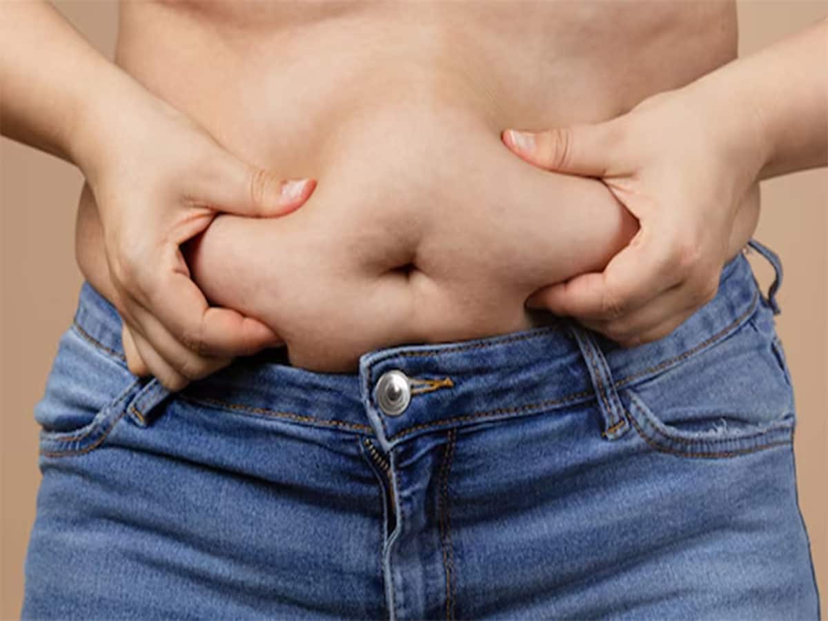 Weight Loss Tips: 1 વાટકી દહીંમાં આ વસ્તુ ઉમેરી ખાવા લાગો, ઘટવા લાગશે પેટ પર જામેલી ચરબીના થર