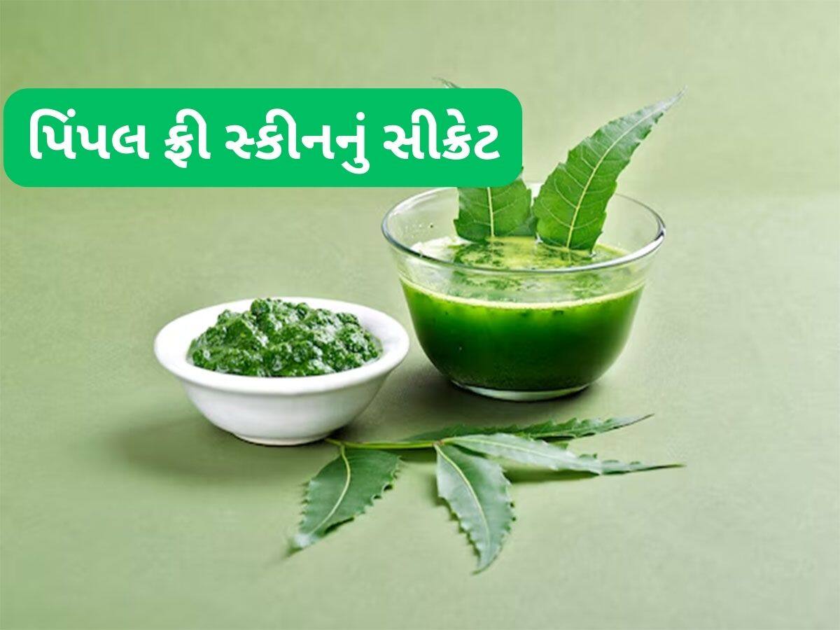 Neem Face Pack: રાત્રે ચહેરા પર લગાડો આ પાનની પેસ્ટ, 7 દિવસમાં ચહેરા પર દેખાવા લાગશે ગ્લો