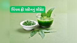 રાત્રે ચહેરા પર લગાડો આ પાનની પેસ્ટ, 7 દિવસમાં ચહેરા પર દેખાવા લાગશે ગ્લો