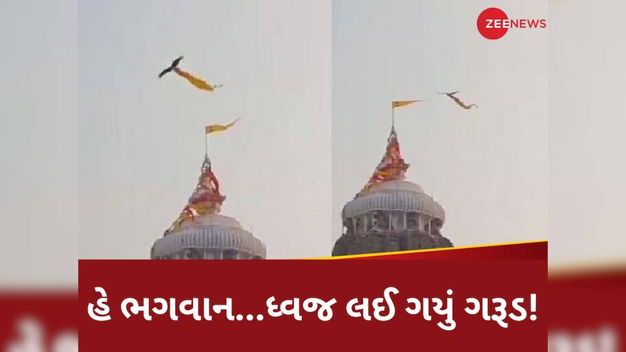 Watch Viral Video: પુરીના જગન્નાથ મંદિરનો ધ્વજ લઈને ઉડી ગયું ગરૂડ? લોકોના પેટમાં ફાળ પડી, જાણો શું છે ધ્વજનું રહસ્ય