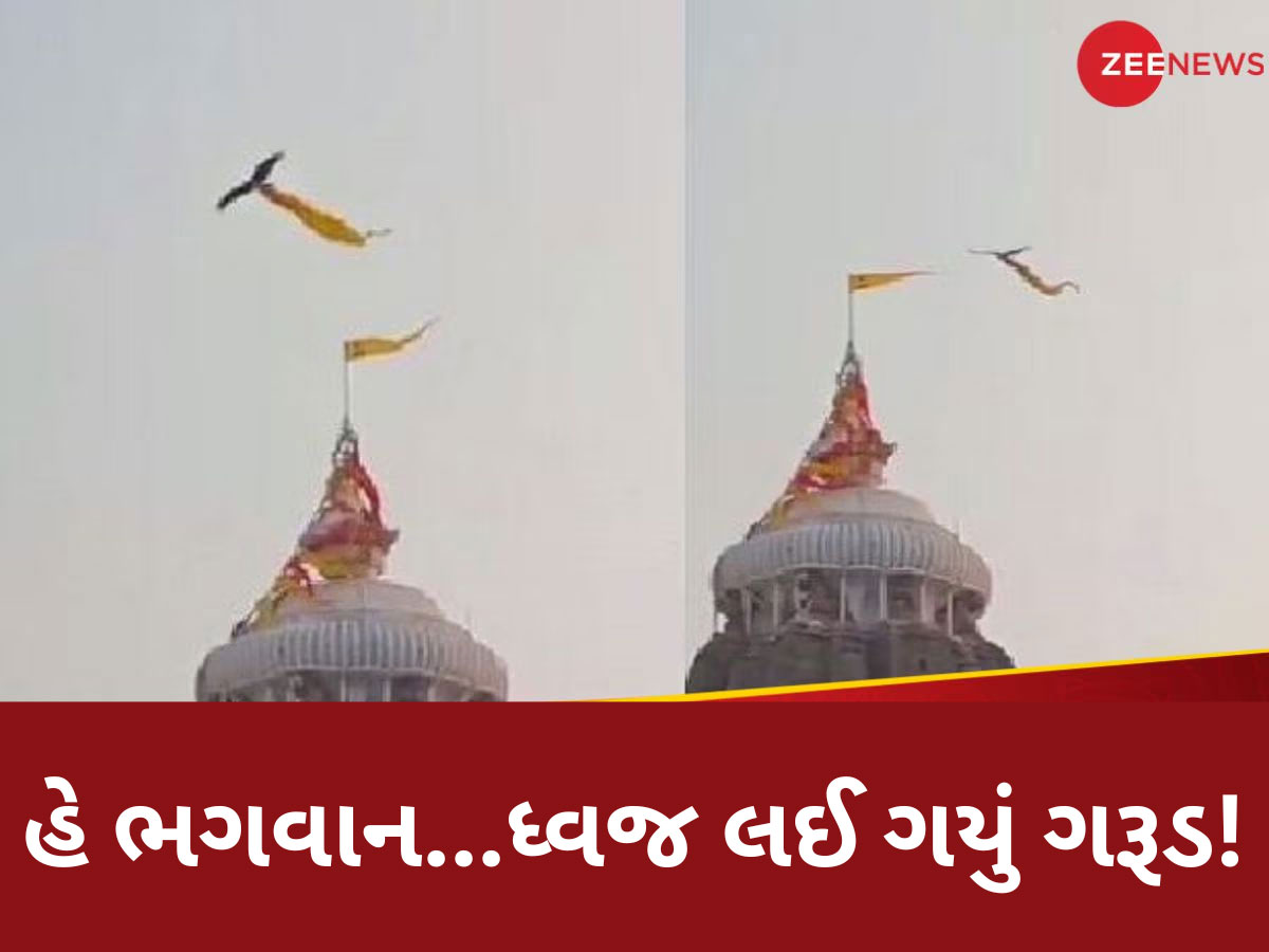 Watch Viral Video: પુરીના જગન્નાથ મંદિરનો ધ્વજ લઈને ઉડી ગયું ગરૂડ? લોકોના પેટમાં ફાળ પડી, જાણો શું છે ધ્વજનું રહસ્ય Watch Viral Video: પુરીના જગન્નાથ મંદિરનો ધ્વજ લઈને ઉડી ગયું ગરૂડ? લોકોના પેટમાં ફાળ પડી, જાણો શું છે ધ્વજનું રહસ્ય