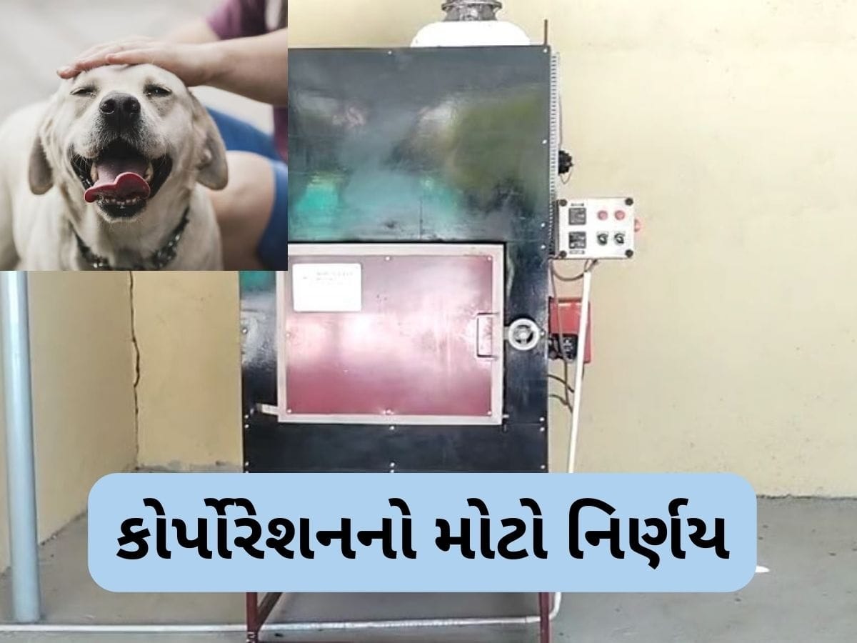  અમદાવાદમાં પાલતુ શ્વાન માટે બનશે સ્મશાન ગૃહ, એક સાથે બે શ્વાનના થઈ શકશે અંતિમ સંસ્કાર