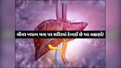 લીવર ખરાબ થવા પર શરીરમાં જોવા મળે છે આ લક્ષણો, રાત્રે ભૂલથી પણ આ સંકેતો ન કરો ઈગ્નોર
