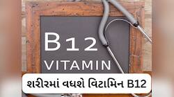 માત્ર 1 ચમચી આ પાવડરને દહીંમાં મિક્સ કરીને ખાઓ, વિટામિન B12 ની ઉણપ થશે દૂર