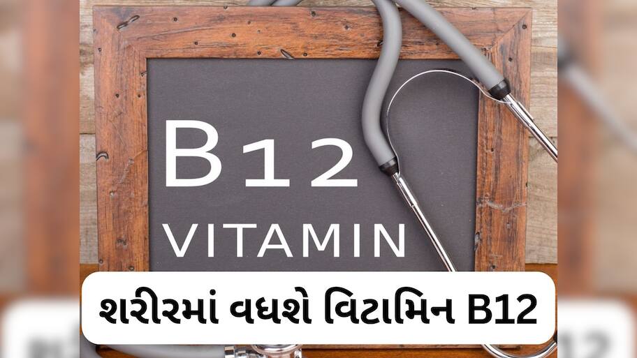 માત્ર 1 ચમચી આ પાવડરને દહીંમાં મિક્સ કરીને ખાઓ, વિટામિન B12 ની ઉણપ કુદરતી રીતે દૂર થશે