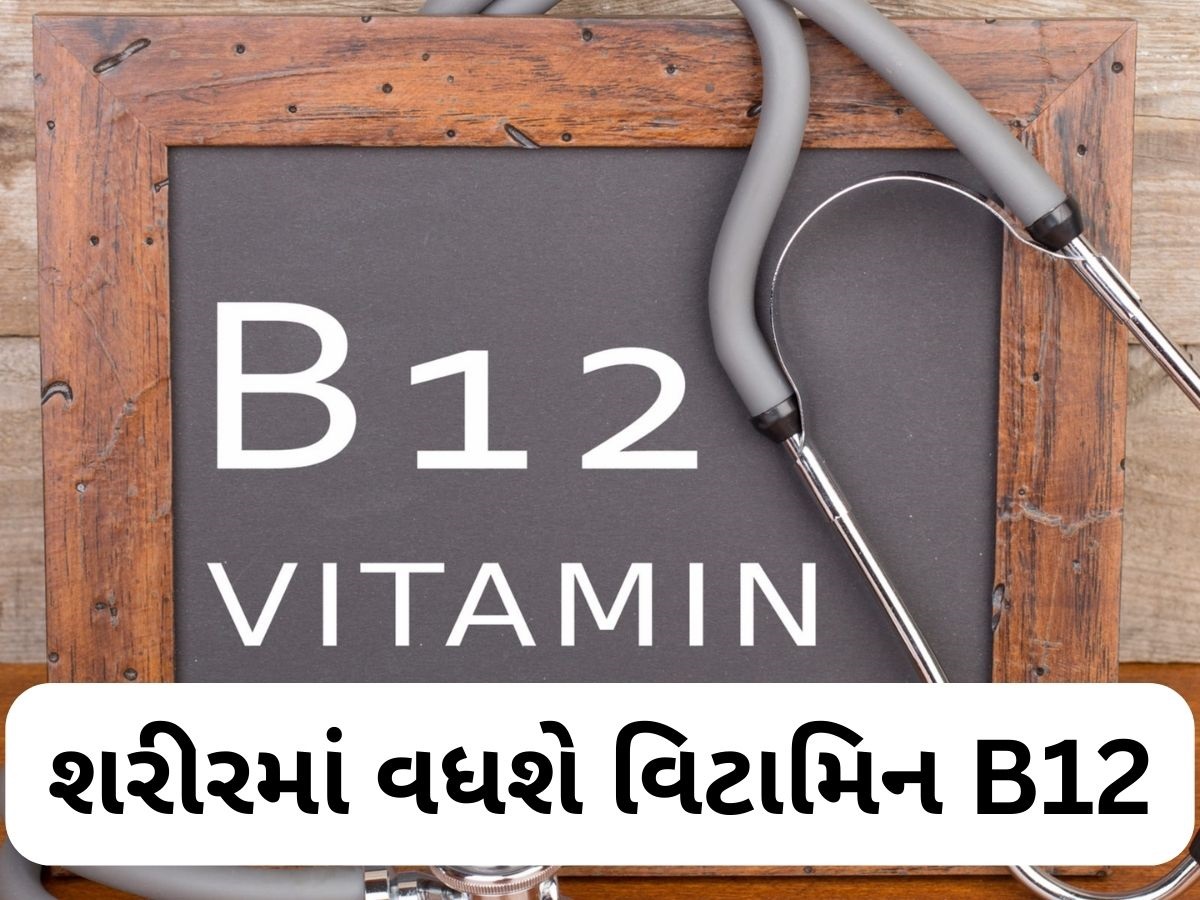 માત્ર 1 ચમચી આ પાવડરને દહીંમાં મિક્સ કરીને ખાઓ, વિટામિન B12 ની ઉણપ કુદરતી રીતે દૂર થશે માત્ર 1 ચમચી આ પાવડરને દહીંમાં મિક્સ કરીને ખાઓ, વિટામિન B12 ની ઉણપ કુદરતી રીતે દૂર થશે