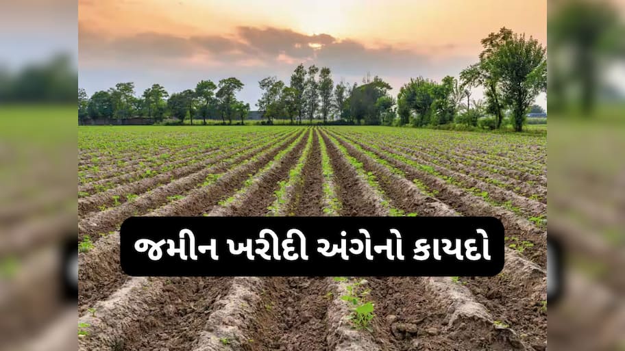 એક વ્યક્તિ કેટલી જમીન ખરીદી શકે? કાયદા અને નિયમ વિશે ખાસ જાણો નહીં તો જવું પડશે જેલમાં!