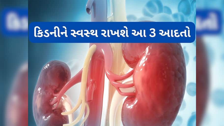Kidney Health: સવારે આ 3 કામ કરશો તો કિડની ક્યારેય ડેમેજ નહીં થાય, શરીરનો કચરો પેશાબ વાટે બહાર નીકળી જશે