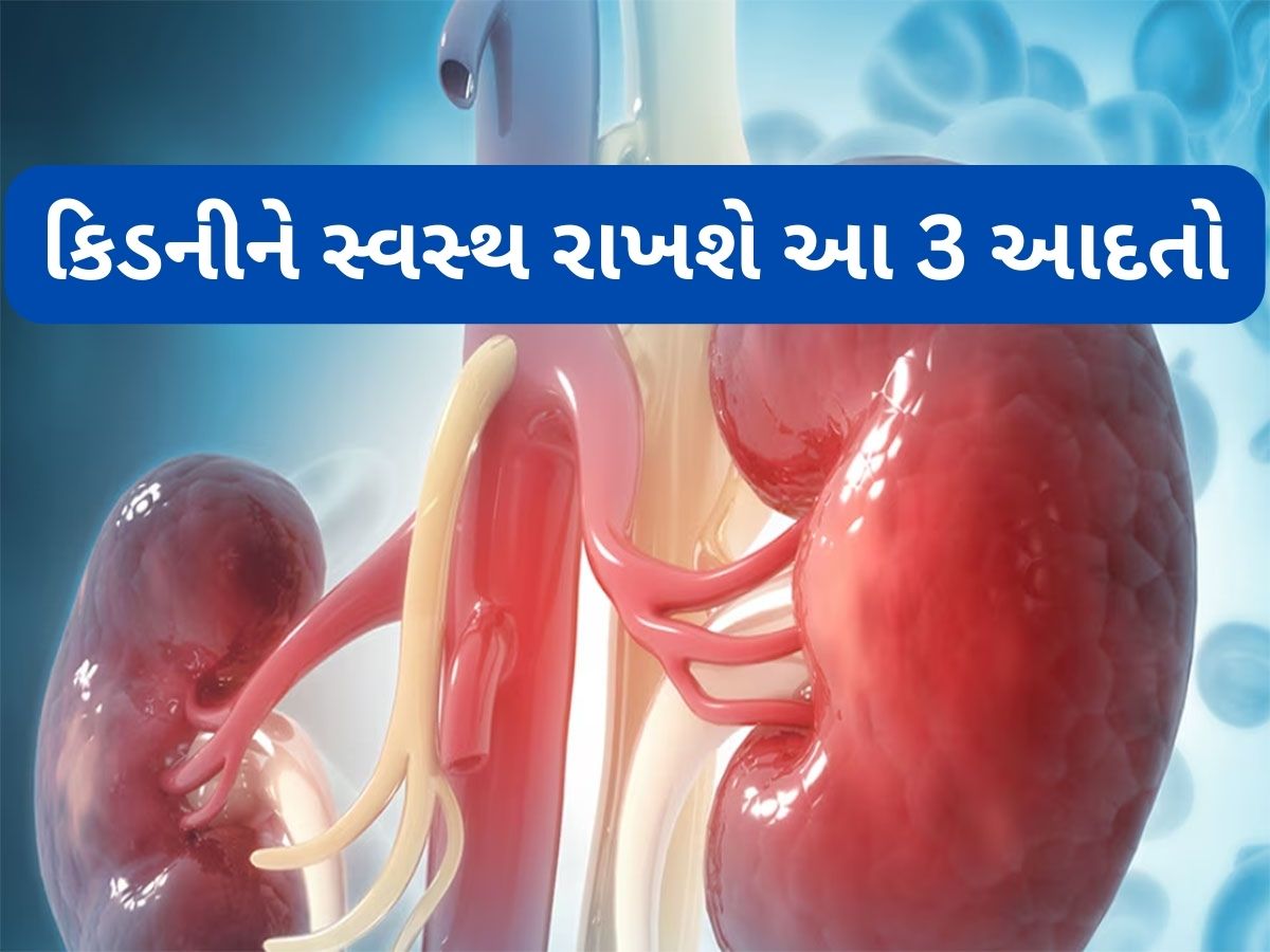 Kidney Health: સવારે આ 3 કામ કરશો તો કિડની ક્યારેય ડેમેજ નહીં થાય, શરીરનો કચરો પેશાબ વાટે બહાર નીકળી જશે Kidney Health: સવારે આ 3 કામ કરશો તો કિડની ક્યારેય ડેમેજ નહીં થાય, શરીરનો કચરો પેશાબ વાટે બહાર નીકળી જશે