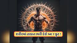 ઠંડક આપનાર 7 ફળ, જે ઉનાળામાં શરીરને રાખશે ઠંડુ અને ભરપૂર આપશે એનર્જી 