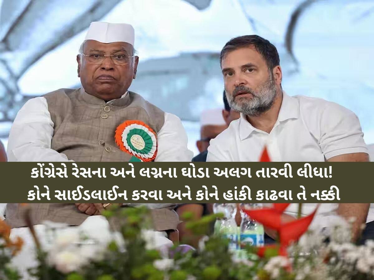 ભાજપ સાથે ભળેલા કોંગ્રેસી નેતાઓનું શું રાહુલ ગાંધીએ તૈયાર કર્યું લિસ્ટ? ગુજરાત કોંગ્રેસમાં પરિવર્તનના સંકેત