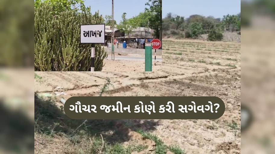 મહેસાણાના આ ગામમાં જમીન કૌભાંડથી ખળભળાટ, ગૌચરની જમીન બારોબાર વેચાઈ ગઈ