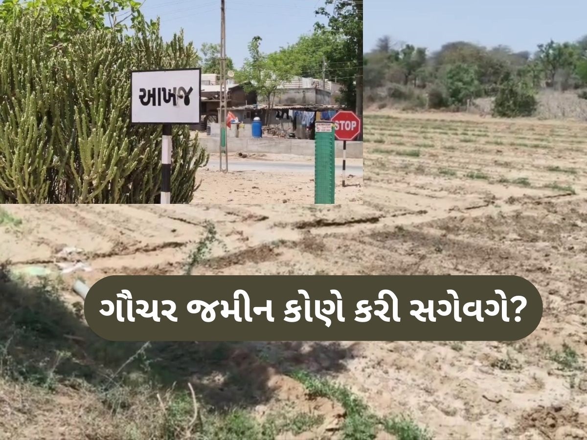 મહેસાણાના આ ગામમાં જમીન કૌભાંડથી ખળભળાટ, ગૌચરની જમીન બારોબાર વેચાઈ ગઈ મહેસાણાના આ ગામમાં જમીન કૌભાંડથી ખળભળાટ, ગૌચરની જમીન બારોબાર વેચાઈ ગઈ