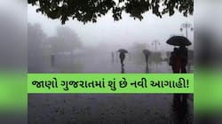 ધૂળની ડમરી-વરસાદ-વાવાઝોડાની ચિંતાજનક આગાહી; આ રાજ્યોમાં એલર્ટ જાહેર, ભારે આગાહી