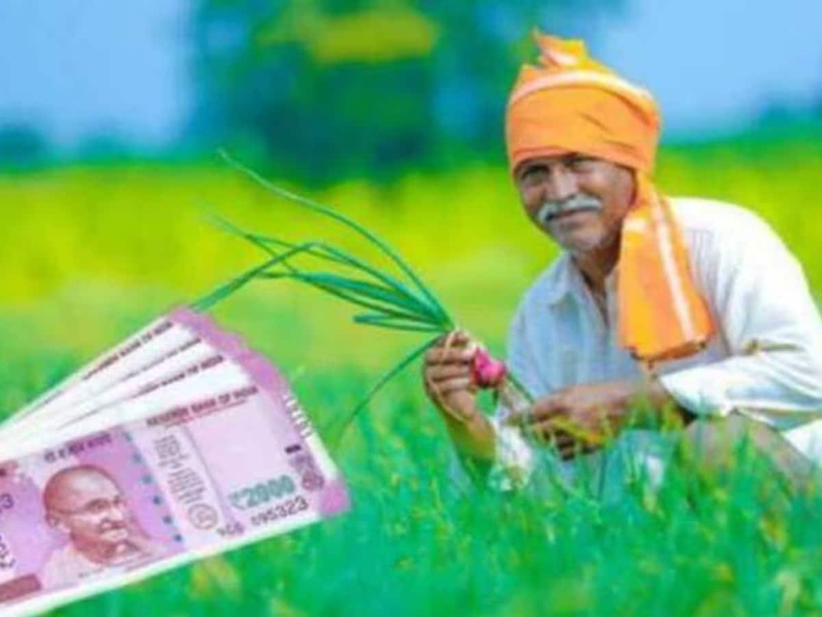 પતંજલિની ઓર્ગેનિક ખેતી કેવી રીતે જમીનના સ્વાસ્થ્યને સુધારી રહી છે અને ખેડૂતોને સશક્ત બનાવી રહી છે?