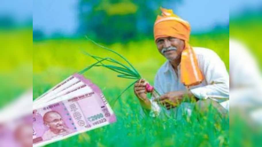પતંજલિની ઓર્ગેનિક ખેતી કેવી રીતે જમીનના સ્વાસ્થ્યને સુધારી રહી છે અને ખેડૂતોને સશક્ત બનાવી રહી છે?