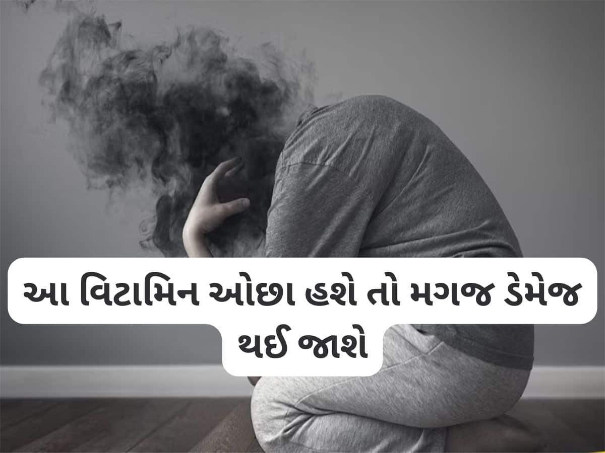 Brain Health: મગજ માટે સૌથી જરૂરી છે આ 3 વિટામિન, ખામીથી થઈ શકે છે બ્રેન ડેમેજ અને ડિપ્રેશન