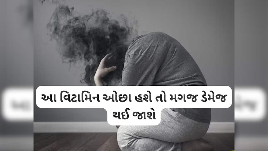 Brain Health: મગજ માટે સૌથી જરૂરી છે આ 3 વિટામિન, ખામીથી થઈ શકે છે બ્રેન ડેમેજ અને ડિપ્રેશન
