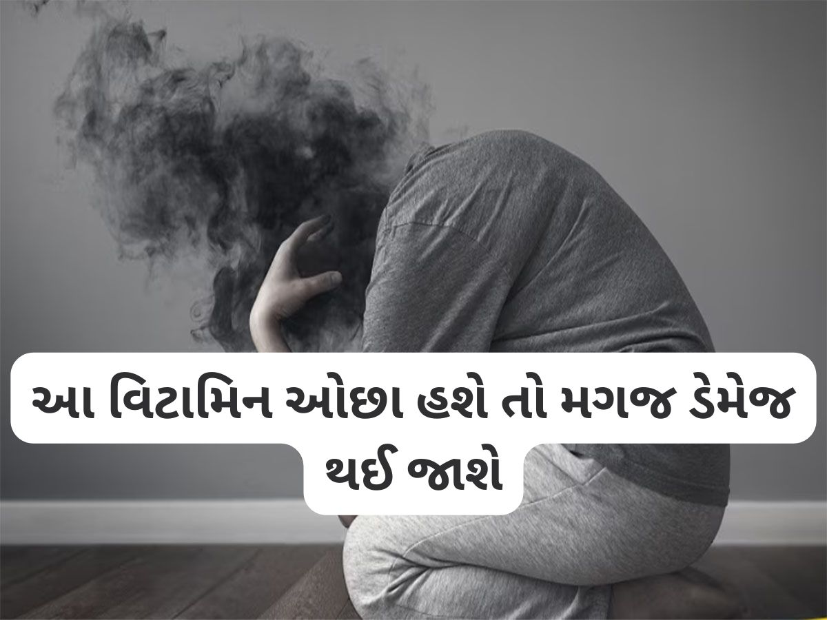 Brain Health: મગજ માટે સૌથી જરૂરી છે આ 3 વિટામિન, ખામીથી થઈ શકે છે બ્રેન ડેમેજ અને ડિપ્રેશન Brain Health: મગજ માટે સૌથી જરૂરી છે આ 3 વિટામિન, ખામીથી થઈ શકે છે બ્રેન ડેમેજ અને ડિપ્રેશન