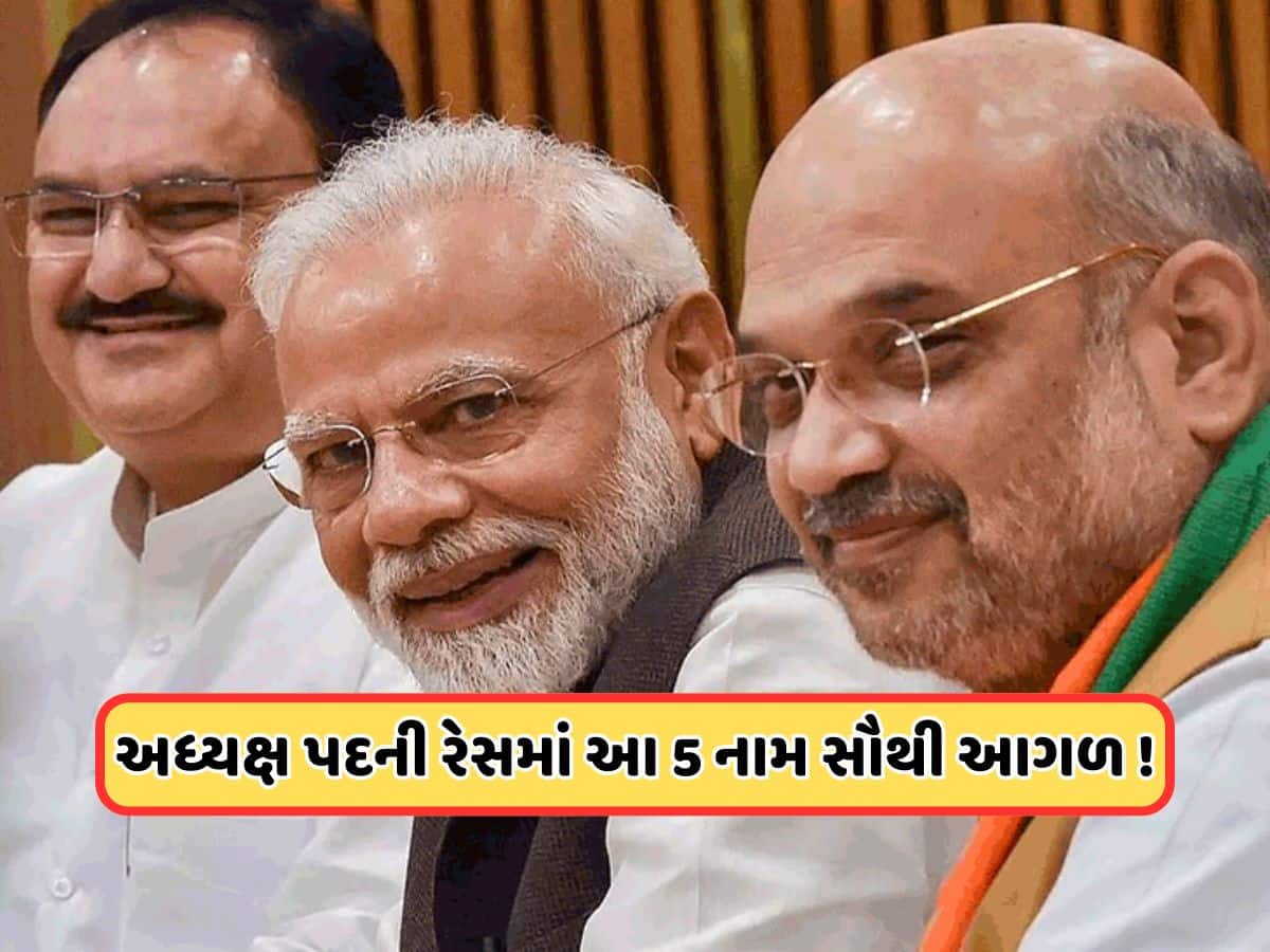 New president: નવા અધ્યક્ષ કોણ? દિલ્હીમાં ચર્ચા તેજ, દક્ષિણના આ 5 ચહેરામાંથી એકને મળી શકે છે કમાન!