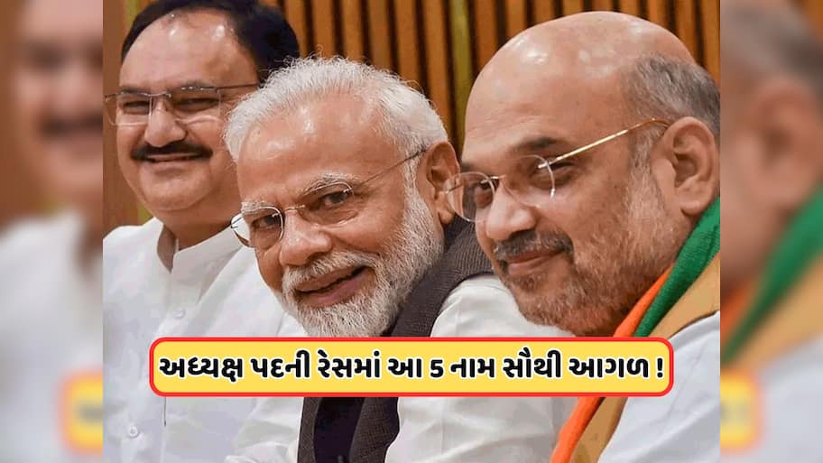 New president: નવા અધ્યક્ષ કોણ? દિલ્હીમાં ચર્ચા તેજ, દક્ષિણના આ 5 ચહેરામાંથી એકને મળી શકે છે કમાન!