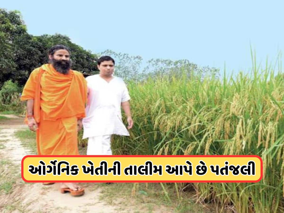 ગામડાઓના વિકાસમાં કેવી રીતે મદદ કરે છે પતંજલિનું કૃષિ મોડેલ?