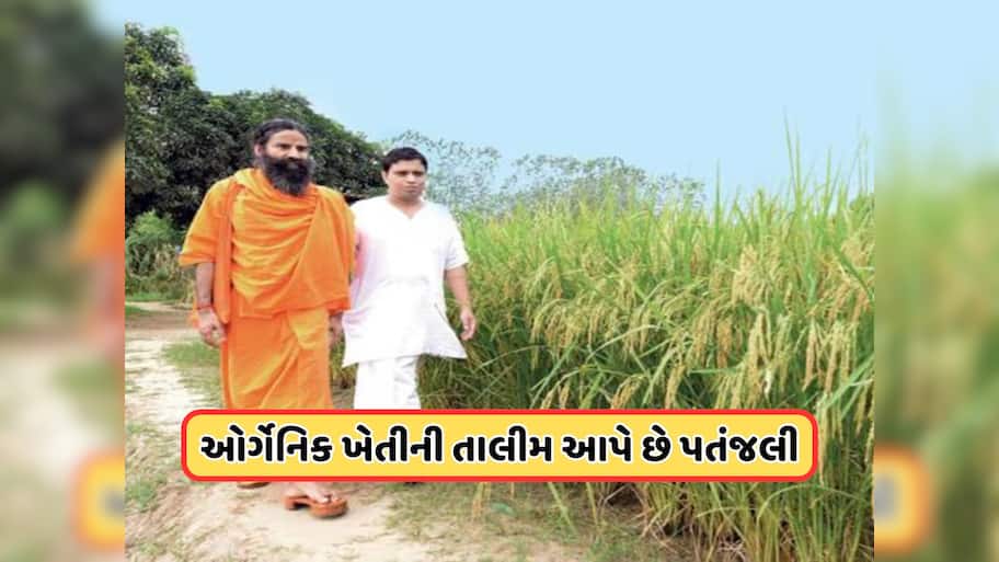 ગામડાઓના વિકાસમાં કેવી રીતે મદદ કરે છે પતંજલિનું કૃષિ મોડેલ?