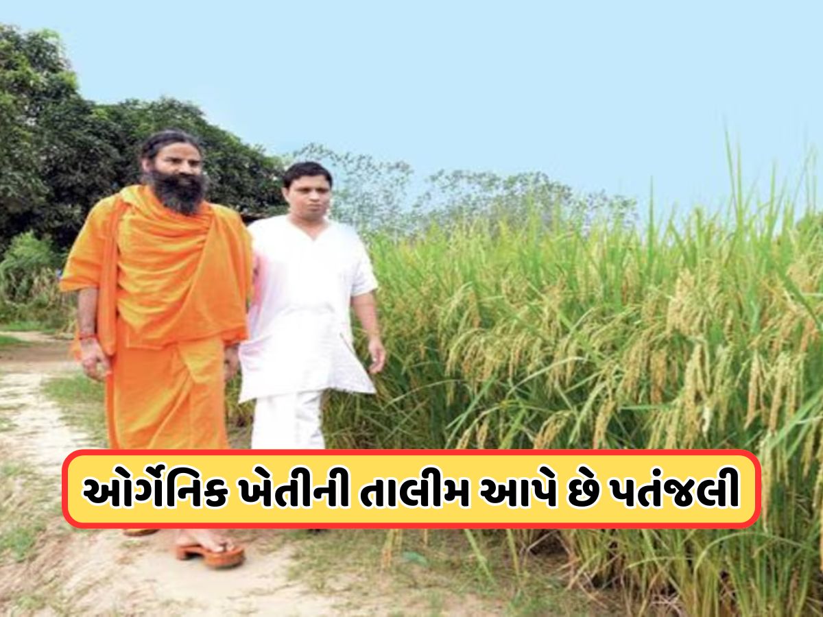 ગામડાઓના વિકાસમાં કેવી રીતે મદદ કરે છે પતંજલિનું કૃષિ મોડેલ? ગામડાઓના વિકાસમાં કેવી રીતે મદદ કરે છે પતંજલિનું કૃષિ મોડેલ?