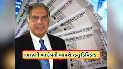45%થી વધુ તૂટ્યો છે ટાટાનો આ શેર, 172 કરોડનો થયો નફો, આપશે  75નું ડિવિડન્ડ