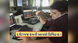 ડિવિડન્ડની જાહેરાત કરવા જઈ રહી છે 5 મોટી કંપની, રેકોર્ડ ડેટ પહેલા ખરીદી લો શેર