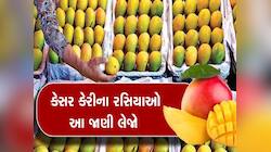 કેરી રસિકોને આનંદો! પોરબંદર યાર્ડમાં કેસરની એન્ટ્રી; આ સીઝનમાં શું ચાલી રહ્યો છે ભાવ