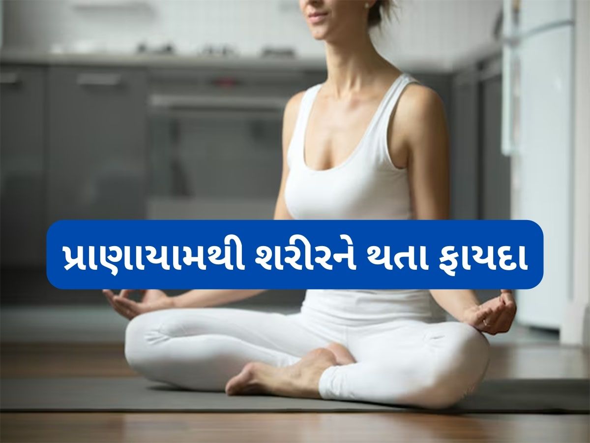 Pranayama Benefits: રોજ 15 મિનિટ પ્રાણાયામ કરવાથી શરીરમાં થશે આ 5 પોઝિટિવ ફેરફાર Pranayama Benefits: રોજ 15 મિનિટ પ્રાણાયામ કરવાથી શરીરમાં થશે આ 5 પોઝિટિવ ફેરફાર