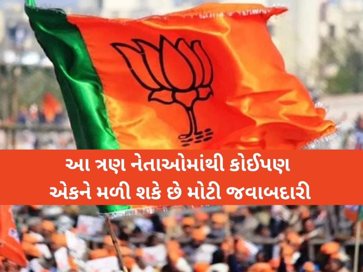 મોદી સરકારના આ 3 મંત્રી પણ ભાજપ અધ્યક્ષ બનવાની રેસમાં, કેબિનેટમાં થશે એન્ટ્રી 