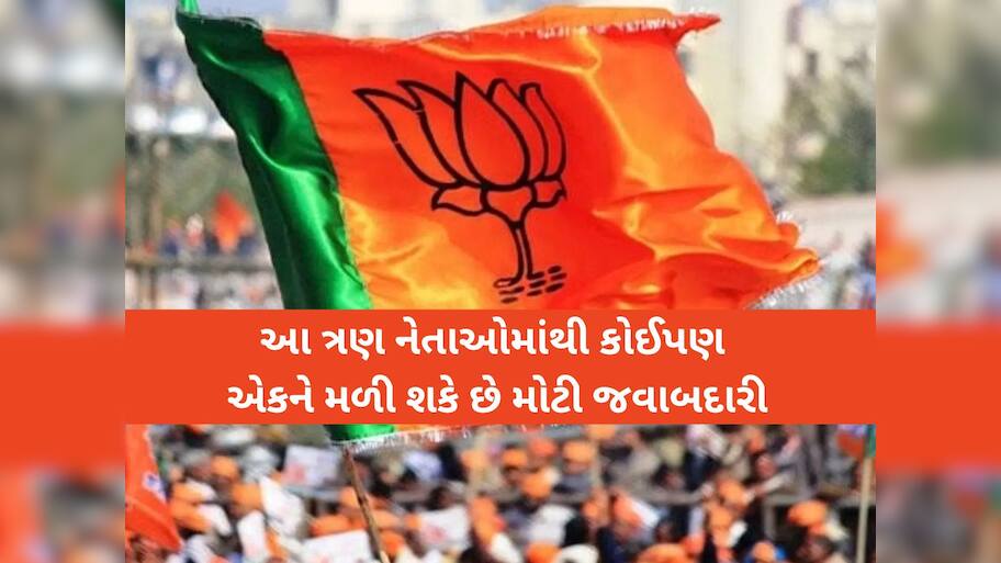 મોદી સરકારના આ 3 મંત્રી પણ ભાજપ અધ્યક્ષ બનવાની રેસમાં, કેબિનેટમાં થશે એન્ટ્રી 
