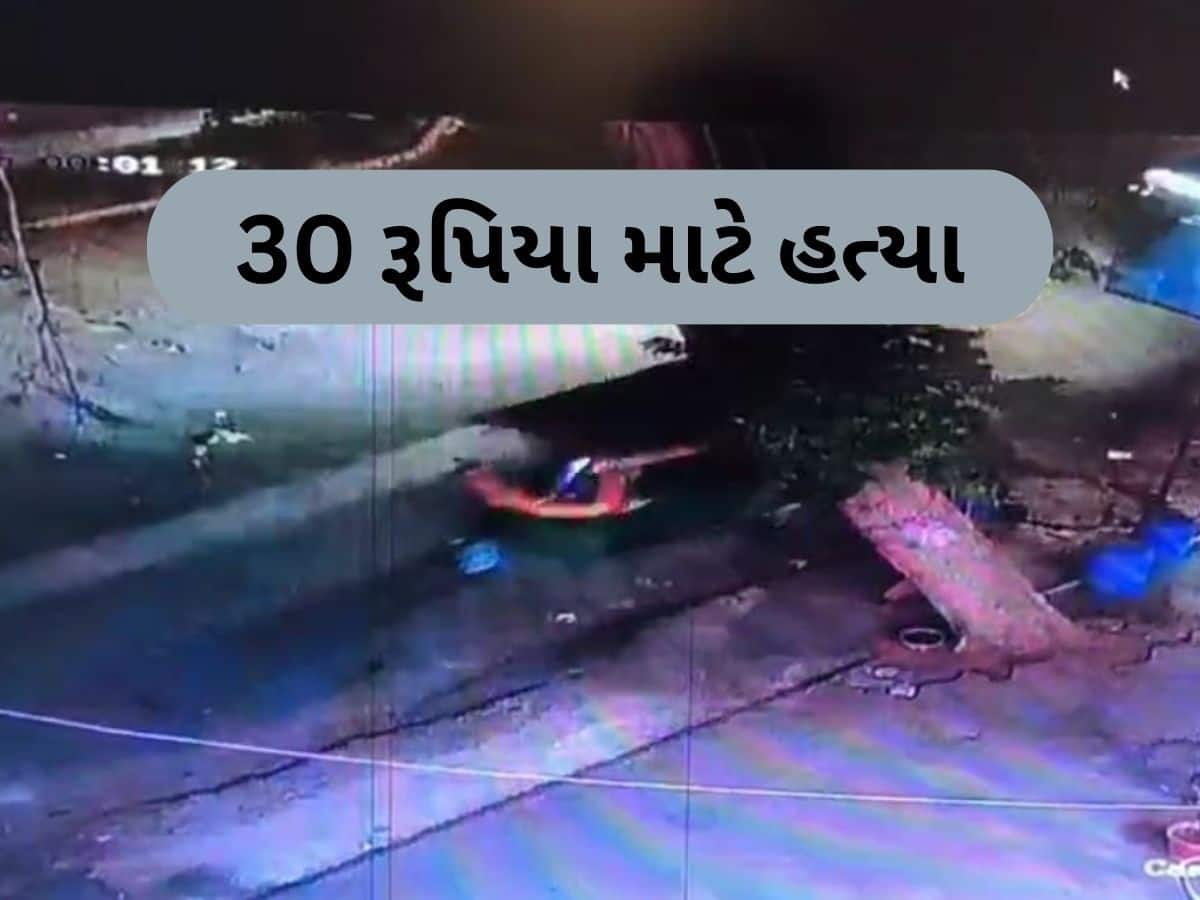 ભાડું ન ચુકવ્યું તો માત્ર 30 રૂપિયા માટે રીક્ષા ચાલકે કરી મુસાફરની હત્યા, CCTVમાં કેદ થઈ ચોંકાવનારી ઘટના