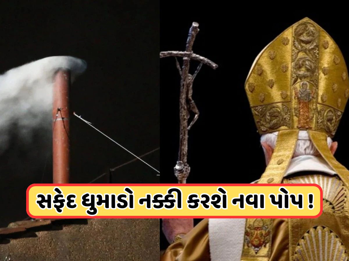 સફેદ ધુમાડો કરશે નામનો ખુલાસો, જાણો કેવી રીતે પસંદ કરવામાં આવે છે નવા પોપ, રસપ્રદ છે પ્રક્રિયા સફેદ ધુમાડો કરશે નામનો ખુલાસો, જાણો કેવી રીતે પસંદ કરવામાં આવે છે નવા પોપ, રસપ્રદ છે પ્રક્રિયા
