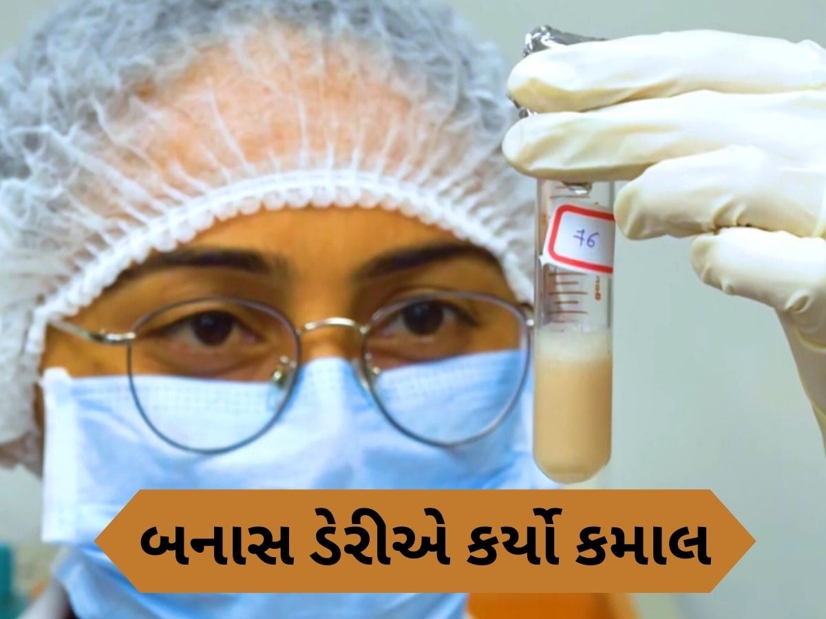 બનાસ ડેરીએ સ્વદેશી સિમેન સેક્સ શોર્ટિંગ મશીન વિકસાવ્યું, વાછરડીના જન્મની શક્યતા 90 ટકા વધશે