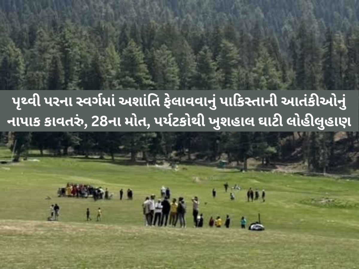 પતિના મૃત્યુ બાદ મોત માગતી પત્નીને આતંકીએ કહ્યું “જા તુજે નહીં મારતા, મોદી કો ઈસ બારે મેં બતા દેના”