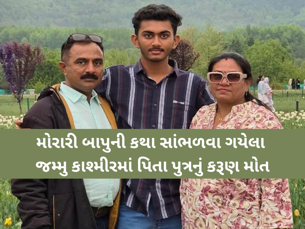 'પપ્પાને હાથે વાગ્યુ છે...', પહેલગામ આતંકી હુમલામાં ભાવનગરના પિતા-પુત્રનું મોત, એકને ઈજા 'પપ્પાને હાથે વાગ્યુ છે...', પહેલગામ આતંકી હુમલામાં ભાવનગરના પિતા-પુત્રનું મોત, એકને ઈજા