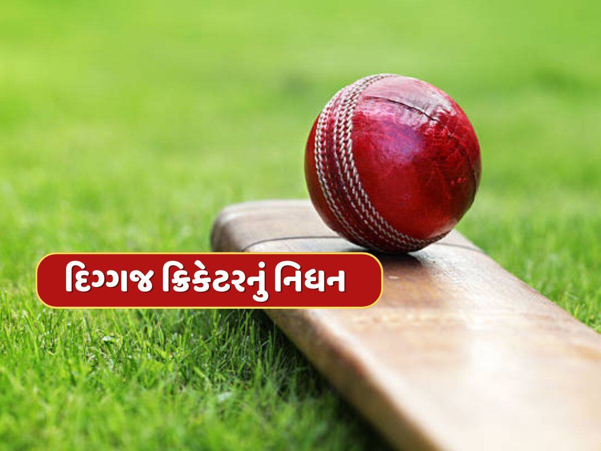 IPL 2025 વચ્ચે દુ:ખદ સમાચાર, આ દિગ્ગજ ઓપનરનું નિધન, ક્રિકેટ જગતમાં શોકની લહેર