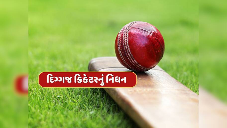 IPL 2025 વચ્ચે દુ:ખદ સમાચાર, આ દિગ્ગજ ઓપનરનું નિધન, ક્રિકેટ જગતમાં શોકની લહેર