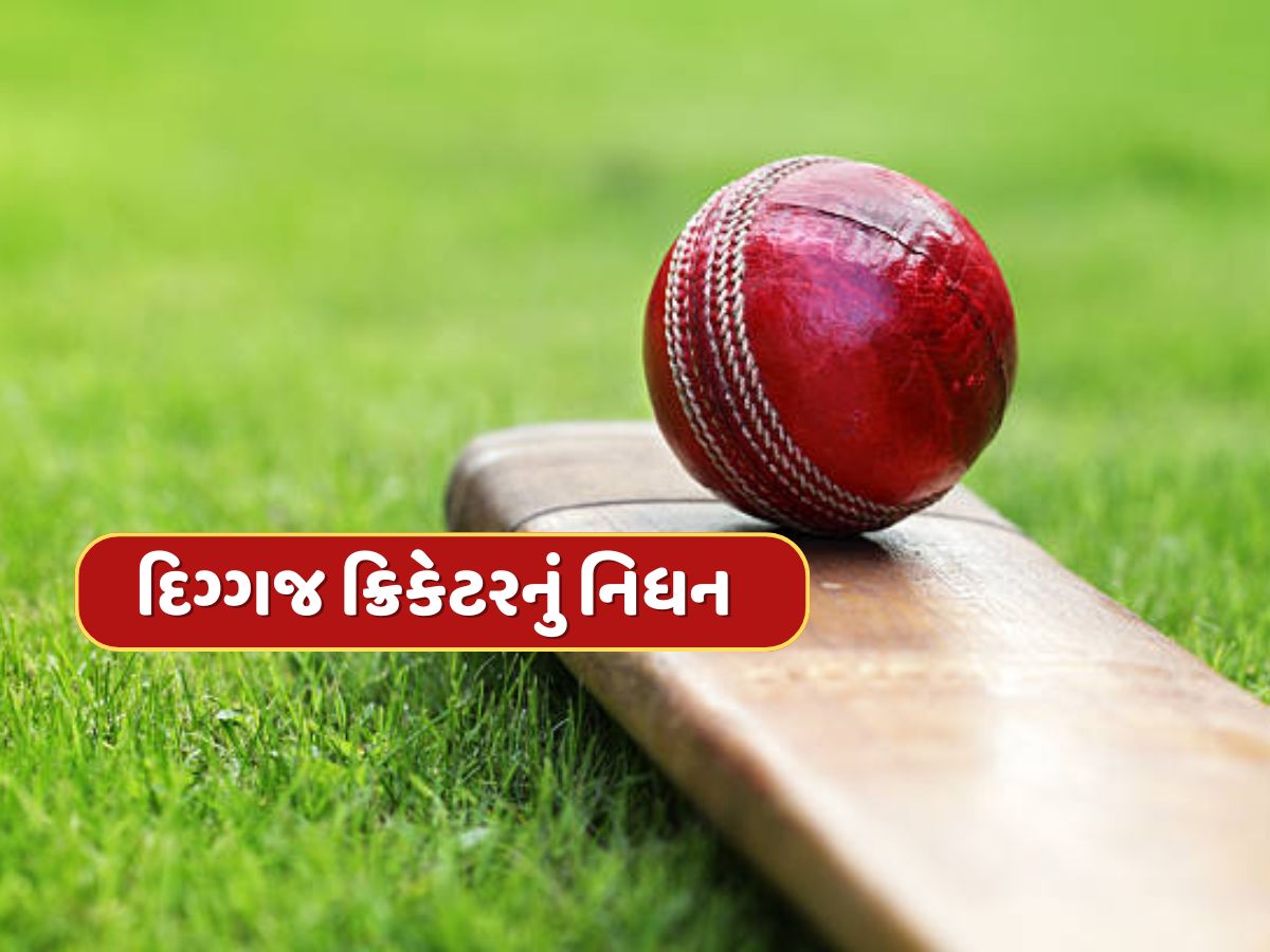 IPL 2025 વચ્ચે દુ:ખદ સમાચાર, આ દિગ્ગજ ઓપનરનું નિધન, ક્રિકેટ જગતમાં શોકની લહેર IPL 2025 વચ્ચે દુ:ખદ સમાચાર, આ દિગ્ગજ ઓપનરનું નિધન, ક્રિકેટ જગતમાં શોકની લહેર