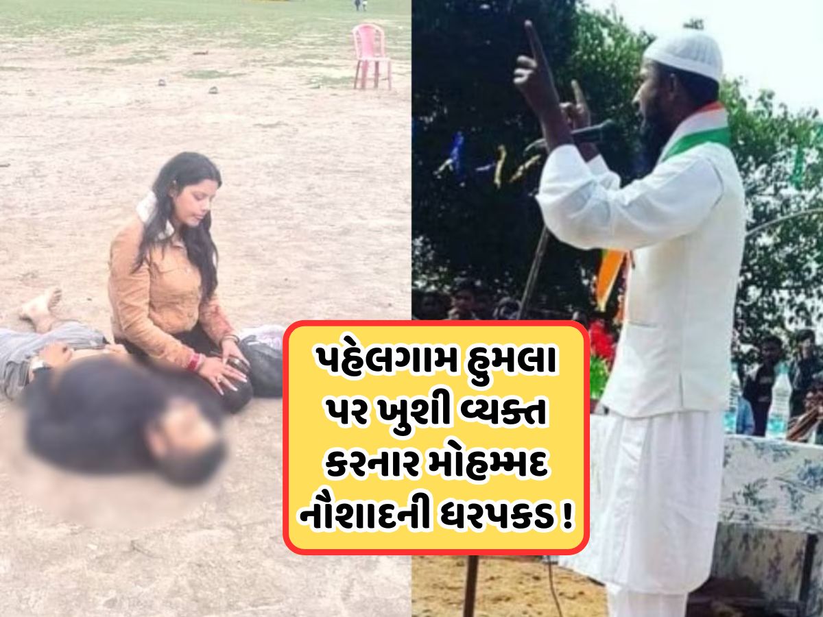 આભાર પાકિસ્તાન, આભાર લશ્કર-એ- તૈયબા, અલ્લાહ તમને ખુશ રાખે, પહેલગામ હુમલા પર યુવકની પોસ્ટ, પોલીસે કરી ઉઠાવ્યો આભાર પાકિસ્તાન, આભાર લશ્કર-એ- તૈયબા, અલ્લાહ તમને ખુશ રાખે, પહેલગામ હુમલા પર યુવકની પોસ્ટ, પોલીસે કરી ઉઠાવ્યો