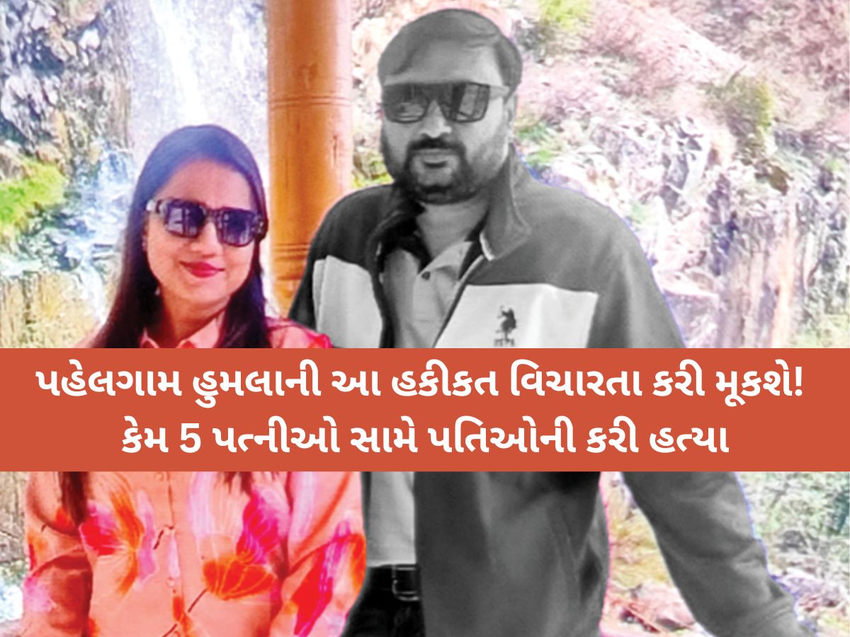 આતંકીઓએ પત્ની-બાળકોની સામે ગુજરાતી યુવક શૈલેષને મારી ગોળી! કાશ્મીર પ્રવાસ બન્યો જિંદગીની છેલ્લી ટ્રીપ! આતંકીઓએ પત્ની-બાળકોની સામે ગુજરાતી યુવક શૈલેષને મારી ગોળી! કાશ્મીર પ્રવાસ બન્યો જિંદગીની છેલ્લી ટ્રીપ!