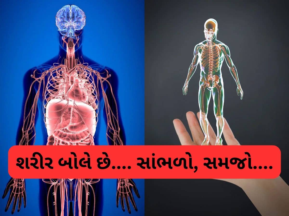 કોઈ મોટી બીમારી પહેલા સમજી લો શરીરની વોર્નિંગ સાઇન, નજરઅંદાજ કરશો તો ભારે પડશે કોઈ મોટી બીમારી પહેલા સમજી લો શરીરની વોર્નિંગ સાઇન, નજરઅંદાજ કરશો તો ભારે પડશે