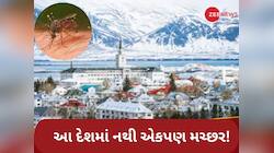 દુનિયાનો એક માત્ર એવો દેશ જ્યાં એક પણ મચ્છર જોવા મળતો નથી, તમે પણ જાણો કારણ